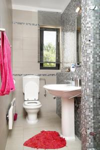 Family friendly house with a swimming pool Pavicini, Marcana - 7312