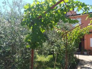 Apartments with parking space Valbandon, Fazana - 7305