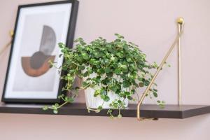 Charming apartment for two in uptown