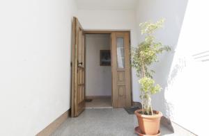 Apartment Katarina Zambratija 3