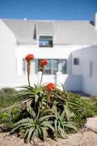 The Duinhuis Yzerfontein