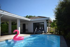 B&B / Chambres d'hotes Chambre SOKA : Chambre Double - Vue sur Piscine