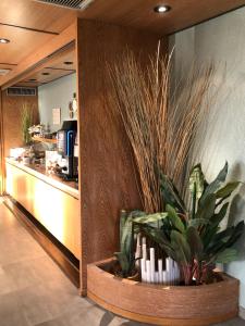 Hotels Plage des Pins : photos des chambres