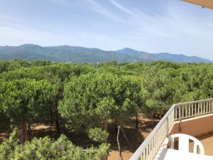 Hotels Plage des Pins : photos des chambres