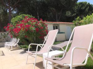 Hotels Plage des Pins : photos des chambres