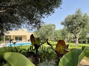 Resort Natura & Relax img3