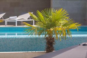 Brela - room for two