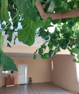 Argy Cozy Apartment (Όμορφο Διαμέρισμα στα Χανιά)