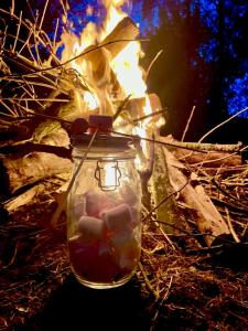 Tentes de luxe Le tipi de l Etang hebergement insolite : photos des chambres