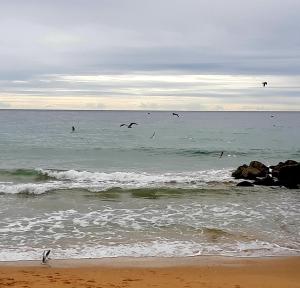 Jeannies Oura Estrela