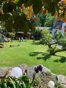 Ferienwohnung Rotbuche - Tannenberg