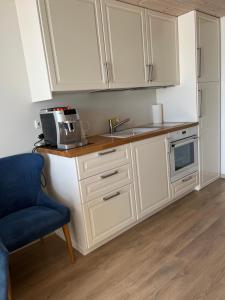 Apartamentai “VASARA” Malūno vilose