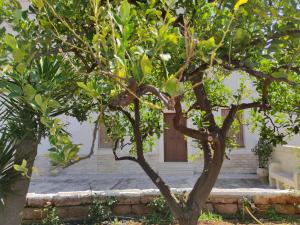 Residenza "I Tre Carrubi "