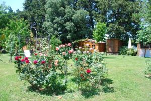 Appartements Tybolea : photos des chambres