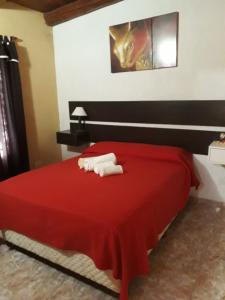 Verde y Sol en la Colonia Bungalows y Cabañas