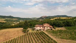 Tenuta Cascina Marenco