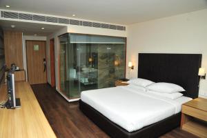 The Grand Bhagwati