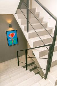 Lumina at Noma Condesa Mexico City