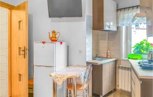 Nice Apartment In Dominikowo With Wifi