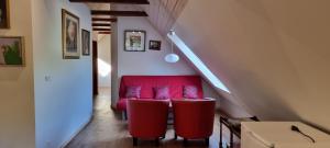 The parrot hotel, live in a rescue animal park