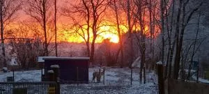 The parrot hotel, live in a rescue animal park - Køng