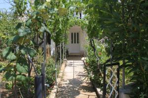 Apartment Verunic 8104a