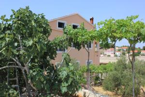 Apartments by the sea Sali, Dugi otok - 8121