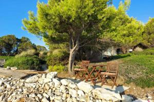 Secluded fishermans cottage Krknata, Dugi otok - 8150