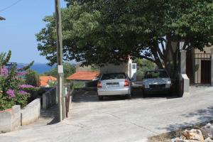 Apartments with a parking space Sali, Dugi otok - 8154