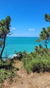 Maisons de vacances Appartement Standing 40 metres Plage Terrasse et Garage avec wifi : photos des chambres