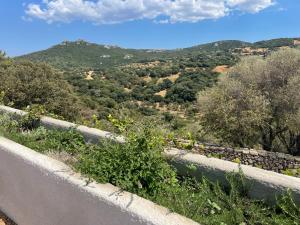 STAZZU LU CHISSONI img10