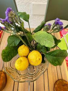 STAZZU LU CHISSONI img36