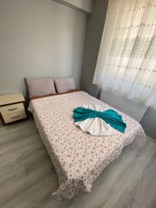 dagkent plus suit