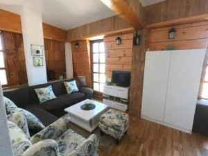Apartman Nancy Vlašić - Ćatići