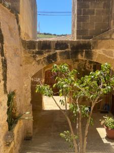 Farmhouse Razzett Cora