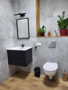 Apartamenty CITI