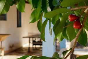 Fazendinha Rústica com Piscina Próxima a Curvelo