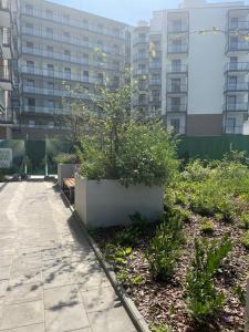 Apartament Modern Space Bella Vita Warsaw