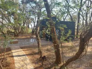 Vulture's View 8 - De Wildt