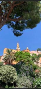 Appartements Menton centre Vue imprenable sur mer et jardin Bioves : photos des chambres