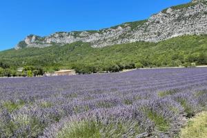 Appartements Boulevard de Provence : photos des chambres