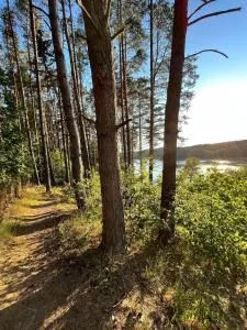 Dom w Borach - Łosiny