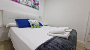 IMEDA APARTAMENTOS RECOGIDAS