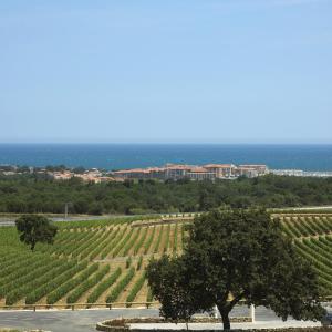 Appart'hotels Appart Hotel Mer & Golf Port Argeles : photos des chambres