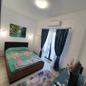 Seb apartment mamaia nord