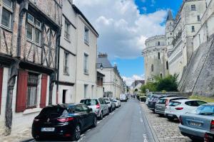 Appartements Splendid apartment at the foot of the castle of Amboise - View of the Loir : photos des chambres