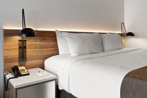 King Room - Disability Access room in Wyndham Garden Manassas