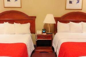 Deluxe Double Room with Two Double Beds room in Hotel Newton