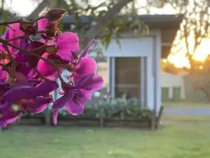 Dream Holiday Condo with Caravan Parking Kallangur - Whiteside