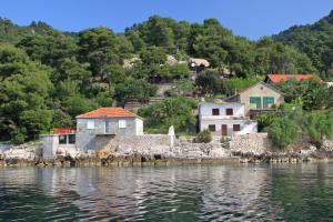 Seaside secluded apartments Cove Rapak, Hvar - 8766